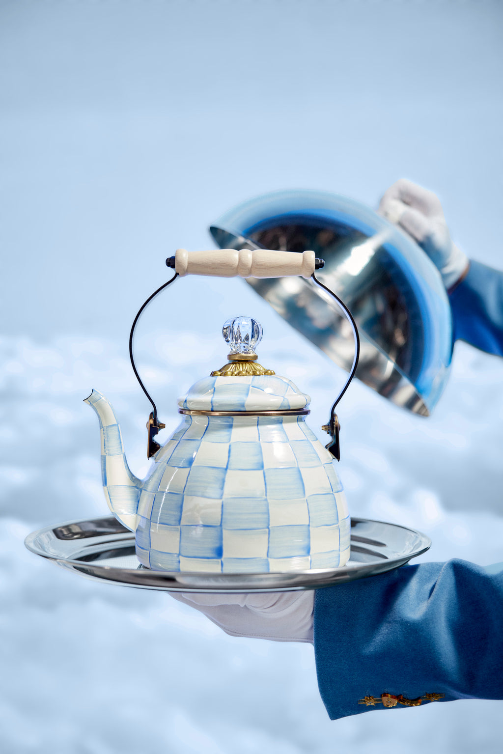 Sky Check 3 Quart Tea Kettle