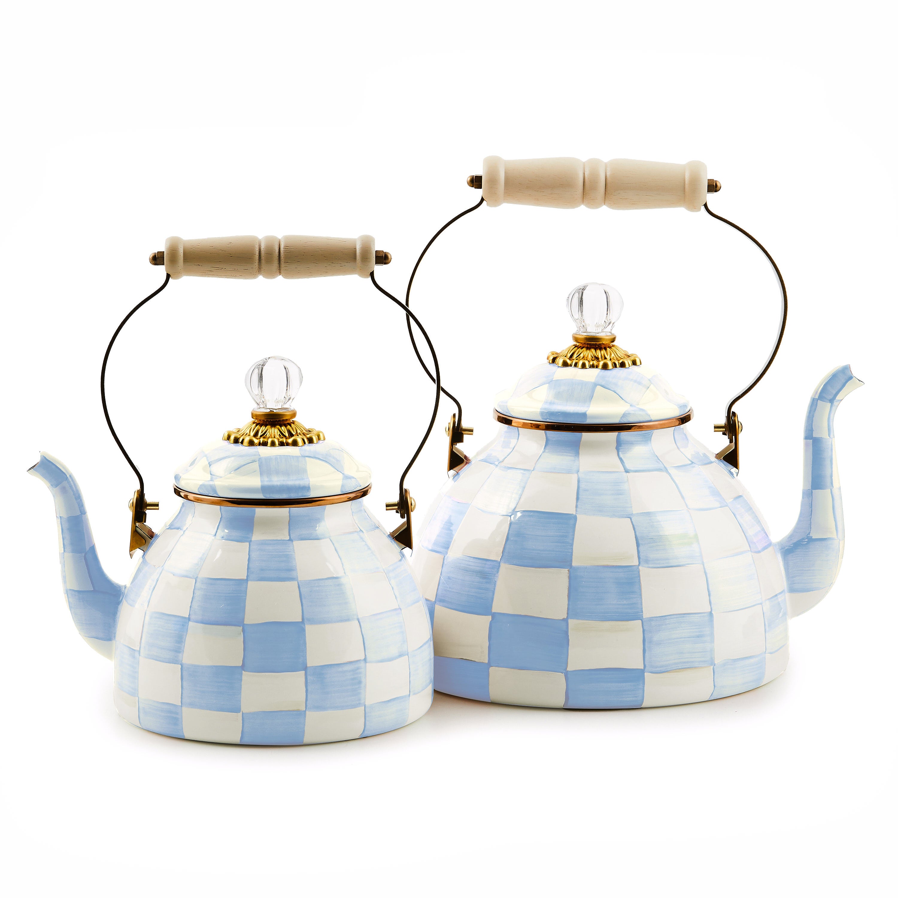 Sky Check 3 Quart Tea Kettle