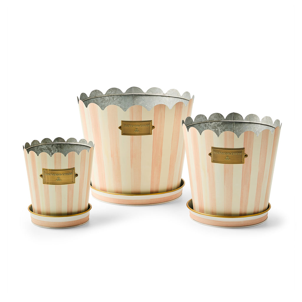 Rosy Stripe Pots & Saucers, Set of 3