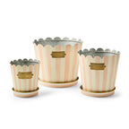 Rosy Stripe Pots & Saucers, Set of 3