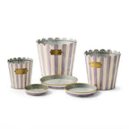 Violet Stripe Pots & Saucers, Set of 3